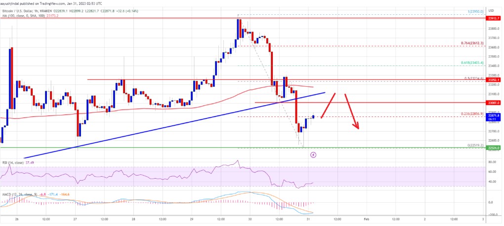 比特币上涨至23960美元，BTC价格暗示可能修正